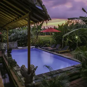 soca-house.ubudhotelsnow.com/